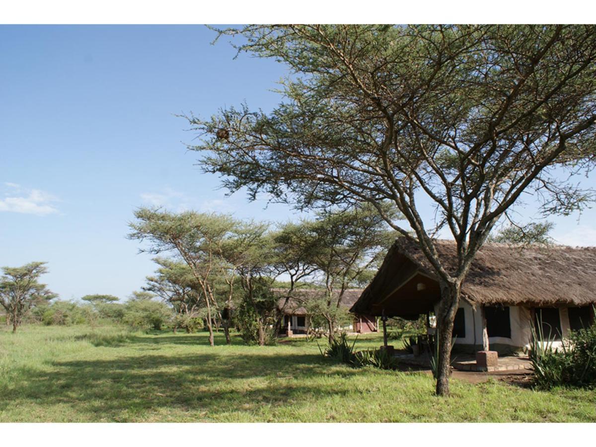 Ikoma Bush Camp Robanda Luaran gambar