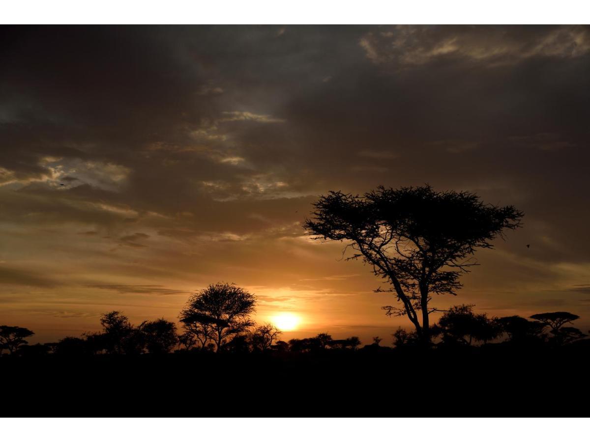 Ikoma Bush Camp Robanda Luaran gambar